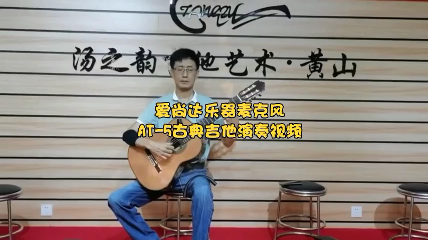 AT-5 Wireless Acoustic Guitar Microphone