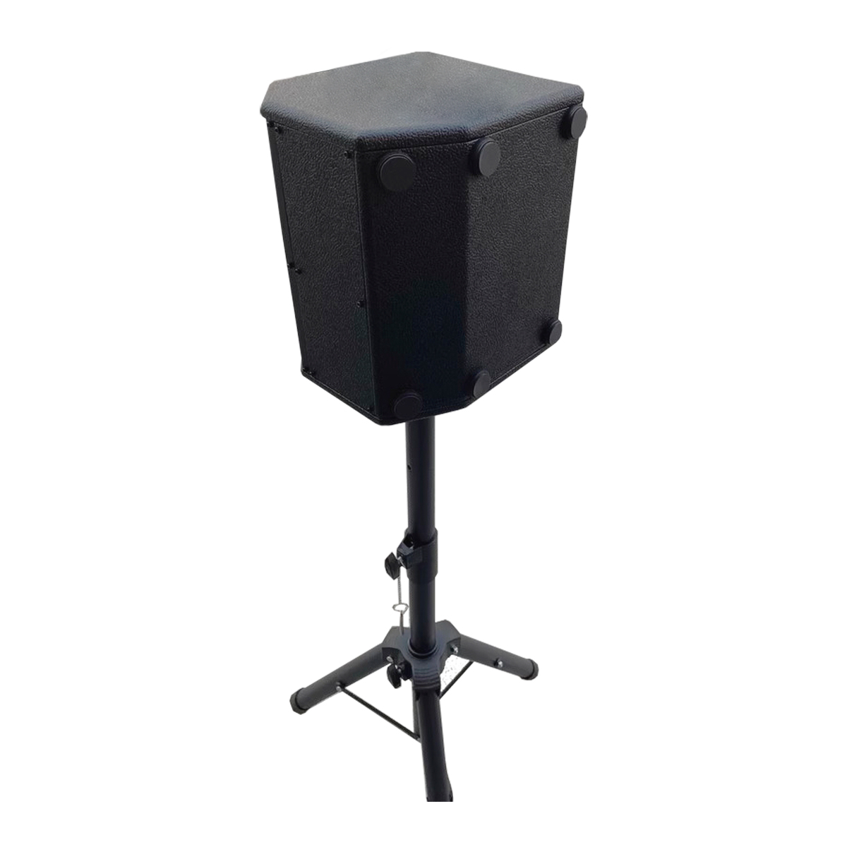 Q5 60W Instrumental Speaker