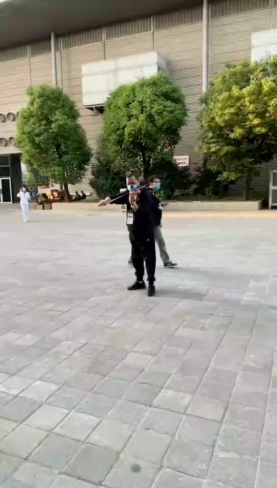 Q2/VT-5 Wireless Violin Microphone Dual Channel