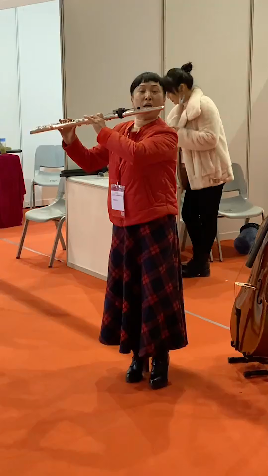 Q2/DT-5 Wireless Flute Microphone Dual Channel